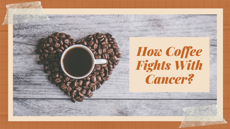 How Coffee Fights With Cancer
