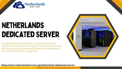 Netherlands Dedicated Server