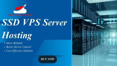 SSD VPS Server Hosting