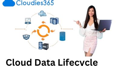 Cloud Data Lifecycle