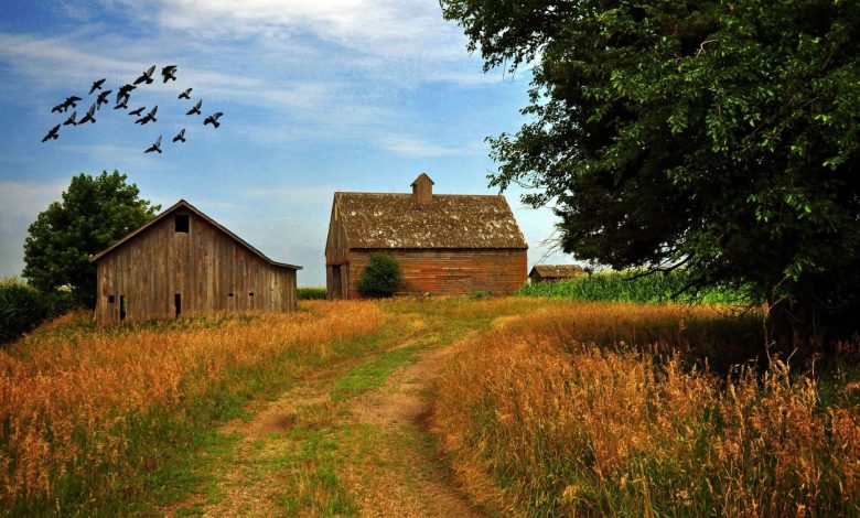 A serene countryside landscape with rolling rural places, a small farmhouse, and a winding dirt road