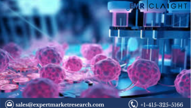 Acute Myeloid Leukemia Treatment Market