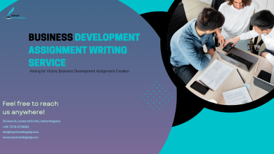 business development assignment writing service