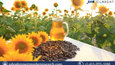 Sunflower Seeds Market